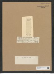 Guinardia flaccida (Castr.) Perag. (de-Toni-Nr.: Genus 113, Species 3284) Zeichnungen Sammlung Grunow Nr. 6675 (NHMW-BOT-W0375468)